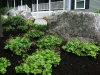 fine-gardening-gallery-13