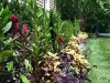 fine-gardening-gallery-16