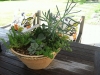 fine-gardening-gallery-18