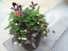 fine-gardening-gallery-20