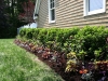 fine-gardening-gallery-3
