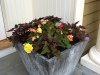 fine-gardening-gallery-4