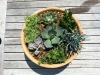 fine-gardening-gallery-6