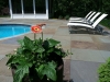fine-gardening-gallery-9