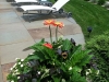 fine-gardening-gallery-21