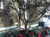 fine-gardening-gallery-24