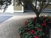 fine-gardening-gallery-25