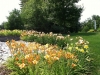 fine-gardening-gallery-32