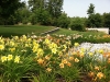 fine-gardening-gallery-33