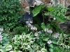 fine-gardening-gallery-34