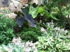 fine-gardening-gallery-36