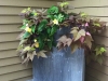 fine-gardening-gallery-42