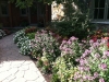 fine-gardening-gallery-48
