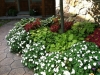 fine-gardening-gallery-49