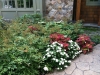 fine-gardening-gallery-50