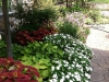 fine-gardening-gallery-52