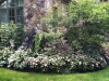 fine-gardening-gallery-54