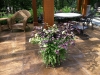 fine-gardening-gallery-58