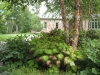 finegarden2