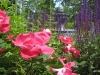 formal-garden_8