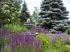 formal-garden_9