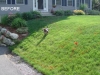 LANDSCAPE CONSTRUCTION-GOFFSTOWN RESIDENCE-BEFORE
