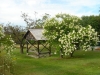 rustic-landscape_1