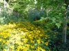 rustic-landscape_11