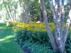 rustic-landscape_13