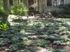 urbangarden5