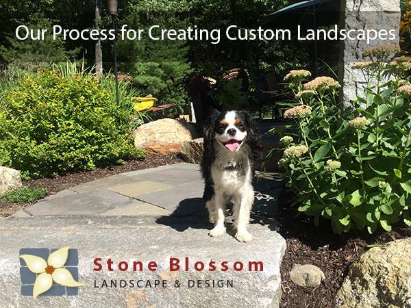 Our Process for Creating Custom Landscapes