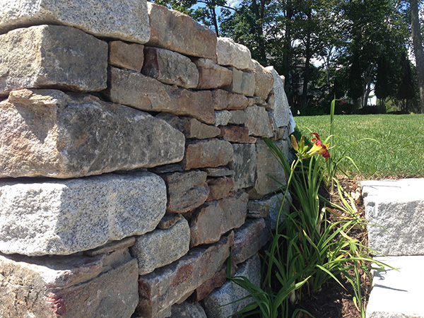 Stone wall in Concord NH