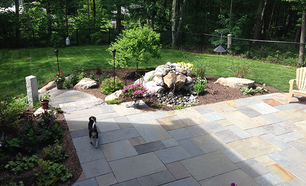 Beautiful new backyard design with patio and plantings by Stone Blossom