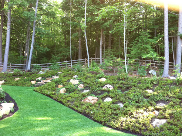 Concord hillside with landscape design by Stone Blossom