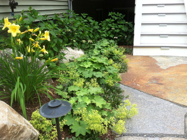 Garden plantings and outdoor lighting by Stone Blossom