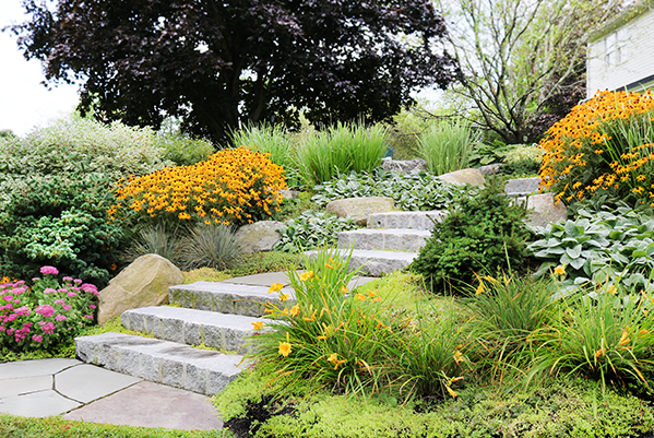 Granite Steps with garden palntings by New Hampshire landscape designer Stone Blossom