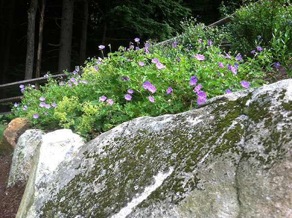 Rock and perennial garden by designer Stone Blossom
