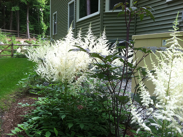 Stone Blossom is the leading fine gardening company for Bedford NH