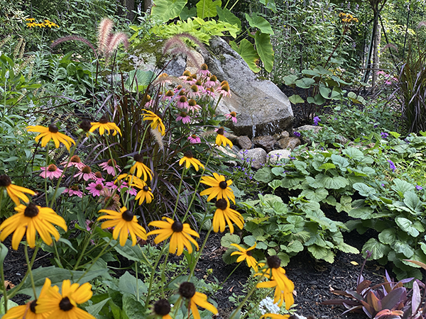 Perennials and water in Bedford Nh